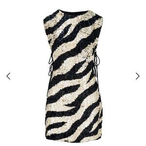 Raevynn sequin dress